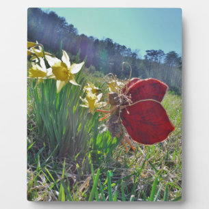Haare und gelbe Blumen Fotoplatte