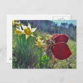 Haare und gelbe Blumen Postkarte (Vorne/Hinten)