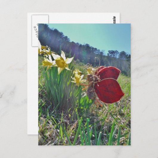 Haare und gelbe Blumen Postkarte (Vorne/Hinten)