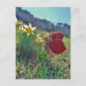 Haare und gelbe Blumen Postkarte (Vorderseite)