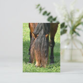 Haareschnitt Postkarte (Stehend Vorderseite)