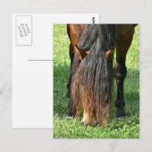 Haareschnitt Postkarte (Vorne/Hinten)