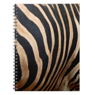 Haarhaut aus Zebraskin, Tier, Hintergrund, schwarz Notizblock