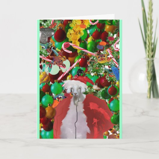 haarige gOATMaS Karte (Vorderseite)