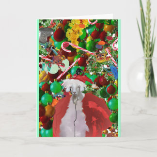 haarige gOATMaS Karte