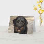 Haariges schwarzer Hundegesicht Karte (Gelbe Blume)