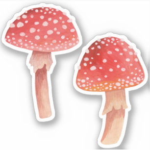 Haariroter Pilz. Waldfliege agarisch / Amanita Aufkleber