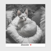 Haarlose Sphynx-Katze Aufkleber (Blatt)