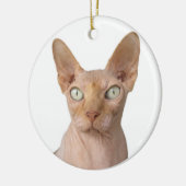 Haarlose Sphynx-Katze Keramik Ornament (Links)