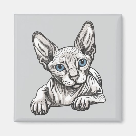 Haarlose Sphynx-Katze Magnet (Vorne)