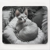 Haarlose Sphynx-Katze Mousepad (Vorne)
