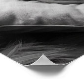 Haarlose Sphynx-Katze Poster (Ecke)