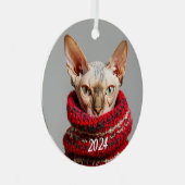 Haarlose Sphynxkatze im Pullover Ornament Aus Metall (Vorderseite Rechts)