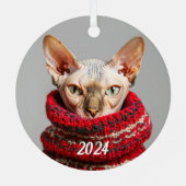 Haarlose Sphynxkatze im Pullover Ornament Aus Metall (Rückseite)