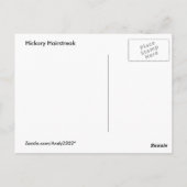 Haarstreich-Schmetterling ~ Postkarte (Rückseite)