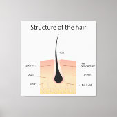 Haarstruktur Leinwanddruck (Vorderseite)