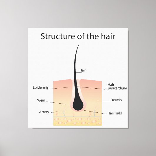 Haarstruktur Leinwanddruck (Vorderseite)