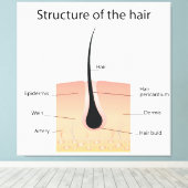 Haarstruktur Leinwanddruck (Insitu (Holzboden))
