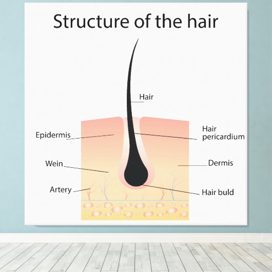 Haarstruktur Leinwanddruck (Insitu (Holzboden))