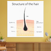 Haarstruktur Leinwanddruck (Insitu (Wohnzimmer))