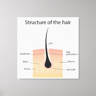 Haarstruktur Leinwanddruck