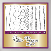 Haartypen1 Poster (Vorne)