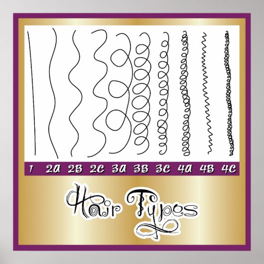 Haartypen1 Poster (Vorne)