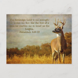 Habakkuk 3:18 Inspirational Postkarte