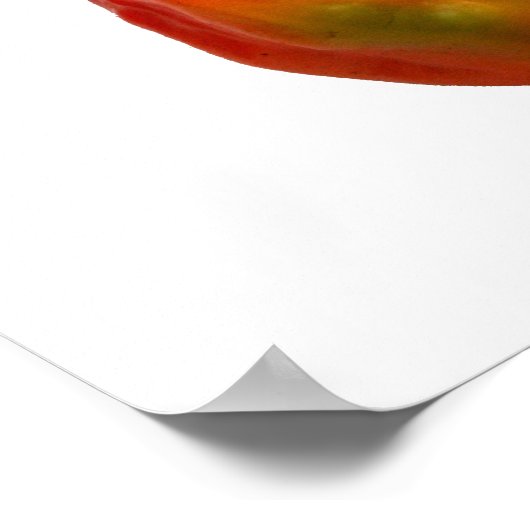 Habanero Single Pepper Fotograf Poster (Ecke)