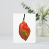 Habanero Single Pepper Fotograf Postkarte (Stehend Vorderseite)
