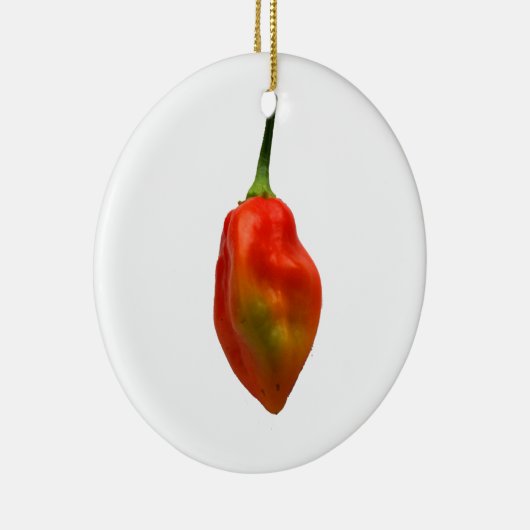 Habanero-Single-Pfeffer-Fotografie Keramik Ornament (Rechts)