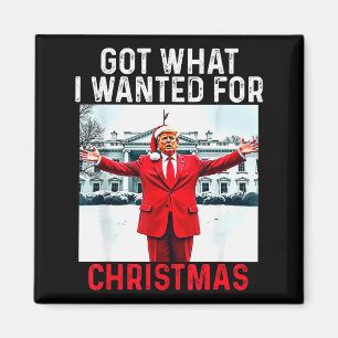 Habe das bekommen, was ich zu Weihnachten wollte - Magnet