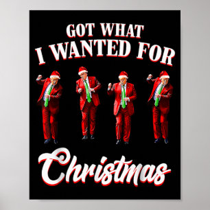 Habe das bekommen, was ich zu Weihnachten wollte,  Poster