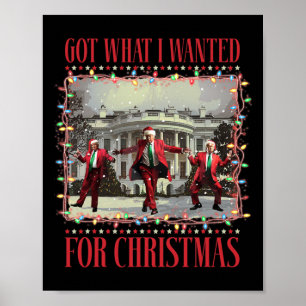 Habe das bekommen, was ich zu Weihnachten wollte S Poster