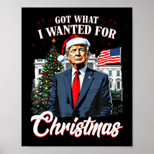 Habe das zu Weihnachten bekommen, was ich wollte T Poster