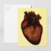 Habe ein Herz Postkarte (Vorne/Hinten)