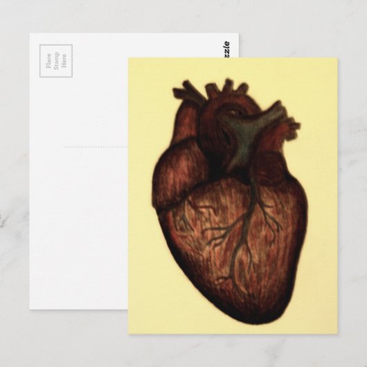 Habe ein Herz Postkarte (Vorne/Hinten)