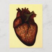 Habe ein Herz Postkarte (Vorderseite)