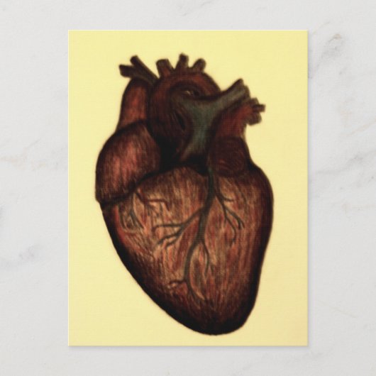 Habe ein Herz Postkarte (Vorderseite)