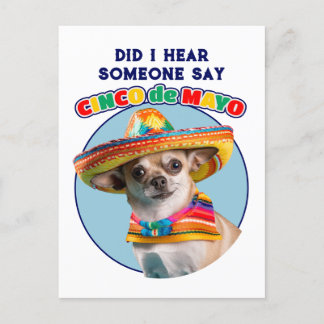 Habe ich Cinco De Mayo Sombrero Chihuahua gehört? Postkarte
