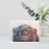 Habe ich deine Aufmerksamkeit? Postkarte (Stehend Vorderseite)