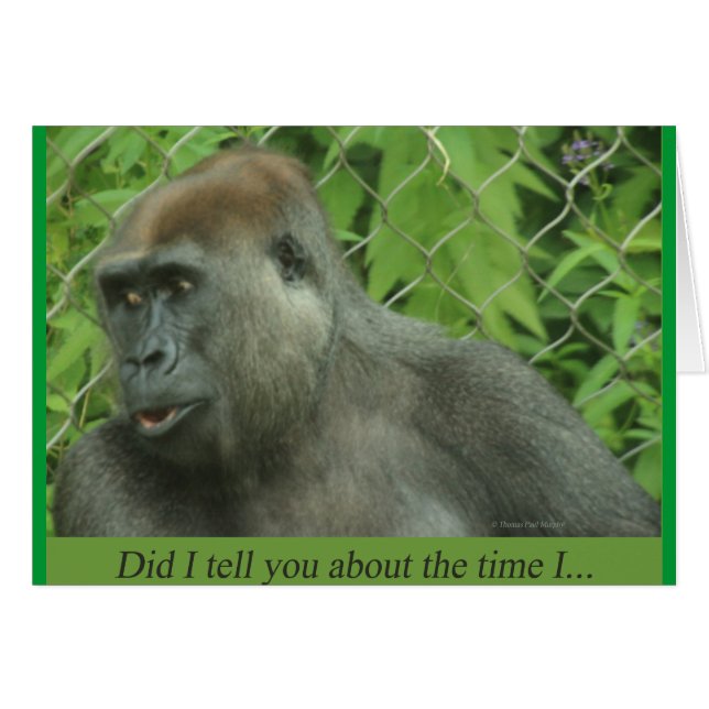 Habe ich dir von der Zeit erzählt, als ich.. (Vorderseite (Horizontal))