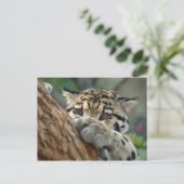 Habe ich es bekommen? postkarte (Stehend Vorderseite)