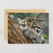 Habe ich es bekommen? postkarte (Vorne/Hinten)