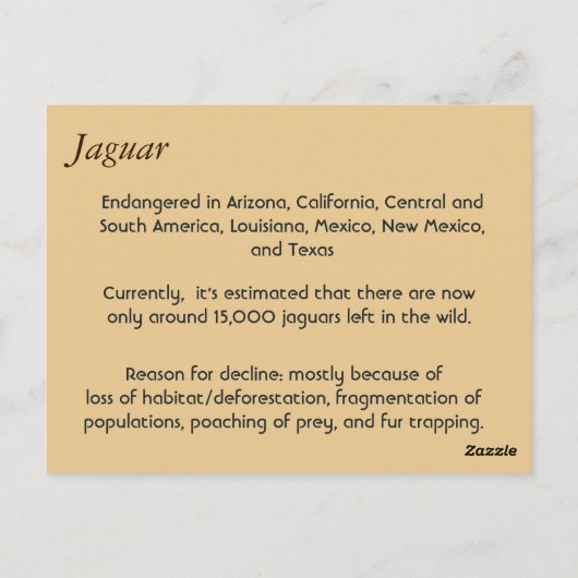 Habe ich es bekommen? postkarte (Rückseite)