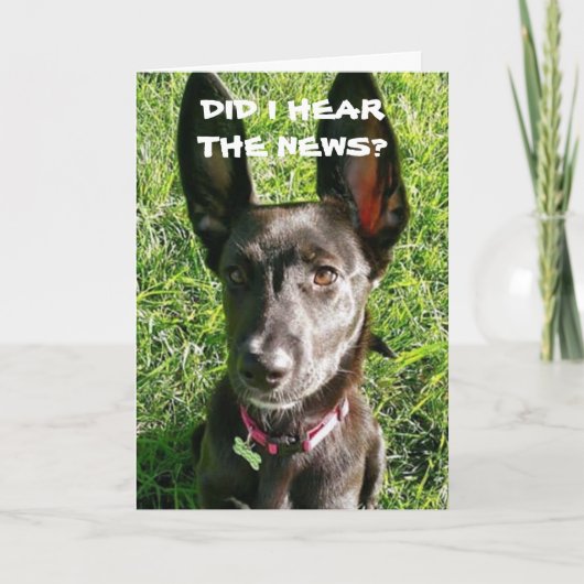 HABE ICH "HÖREN", DASS SIE "21" BIRTHDAY CARD SIND KARTE (Vorderseite)