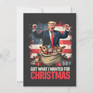 Habe, was ich zu Weihnachten wollte Trump Santa Einladung