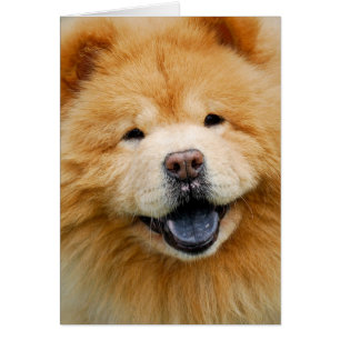 Haben Sie ein glückliches