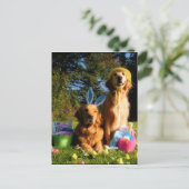 Haben Sie ein goldenes Oster? Feiertagspostkarte (Stehend Vorderseite)