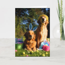 Haben Sie ein goldenes Ostern Feiertagskarte